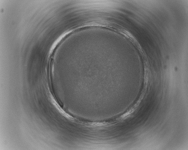 X0000056330796200508261219