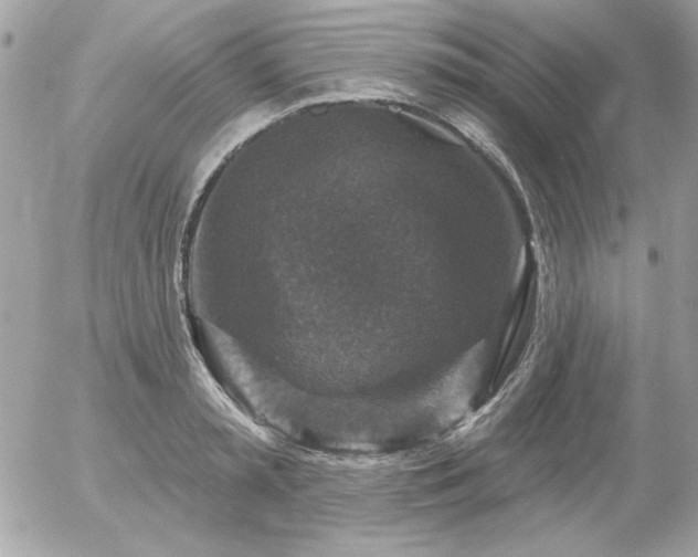 X0000056330797200508261219