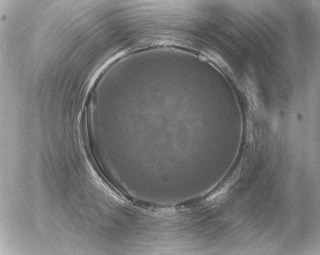 X0000056330798200508261219