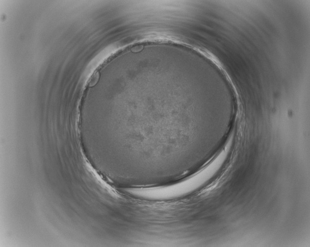 X0000056330799200508261219