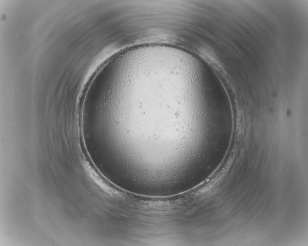 X0000056330800200508261219