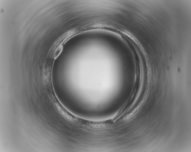 X0000056330801200508261219