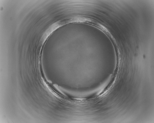 X0000056330802200508261219