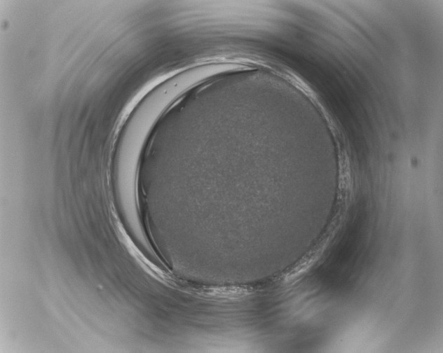 X0000056330803200508261219