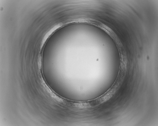 X0000056330804200508261219