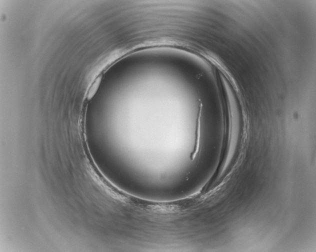 X0000056330805200508261219