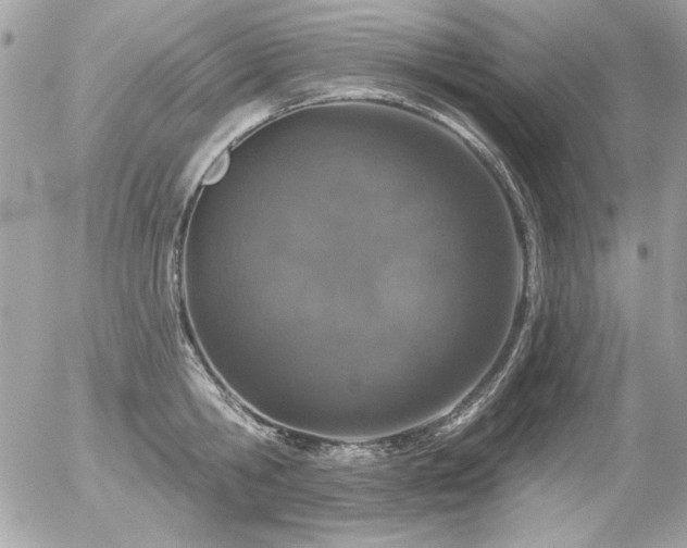 X0000056330806200508261219