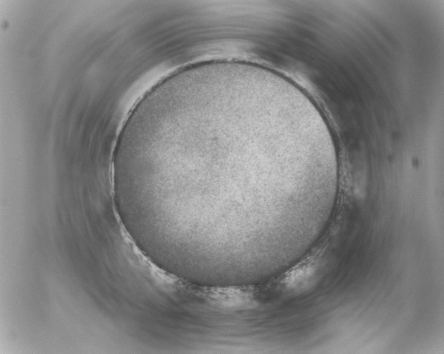 X0000056330807200508261219