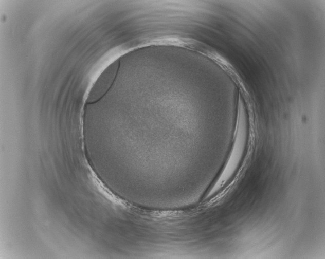 X0000056330808200508261219