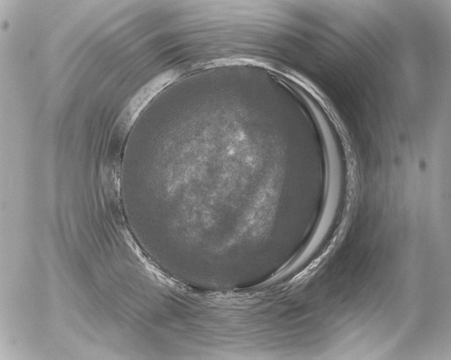 X0000056330809200508261219