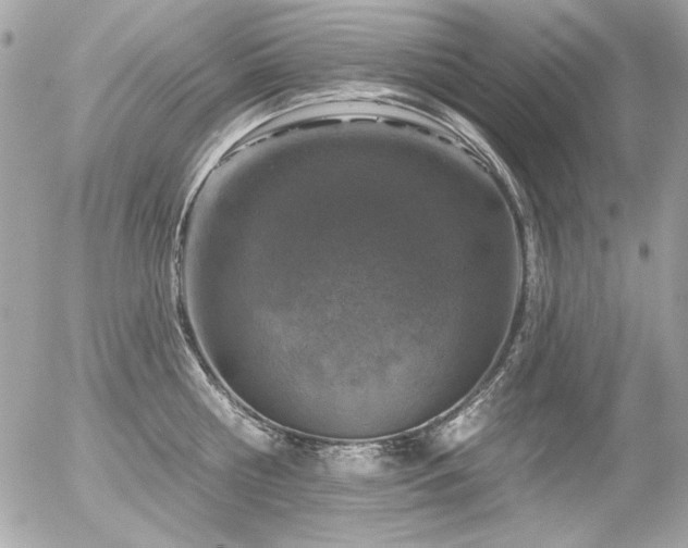 X0000056330810200508261219