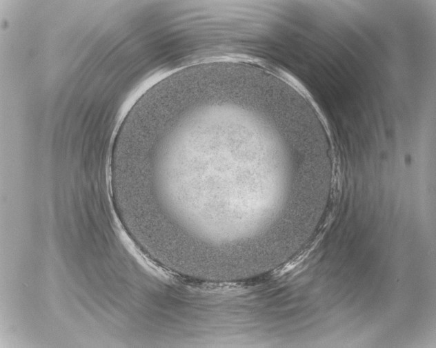 X0000056330811200508261219