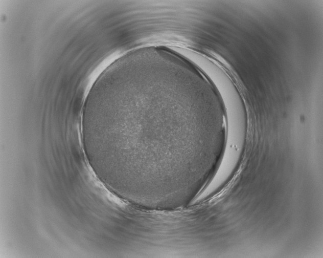 X0000056330812200508261219