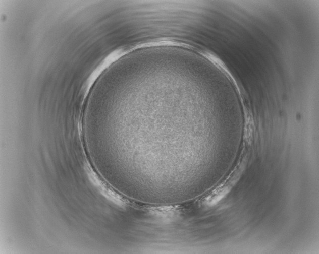 X0000056330813200508261219