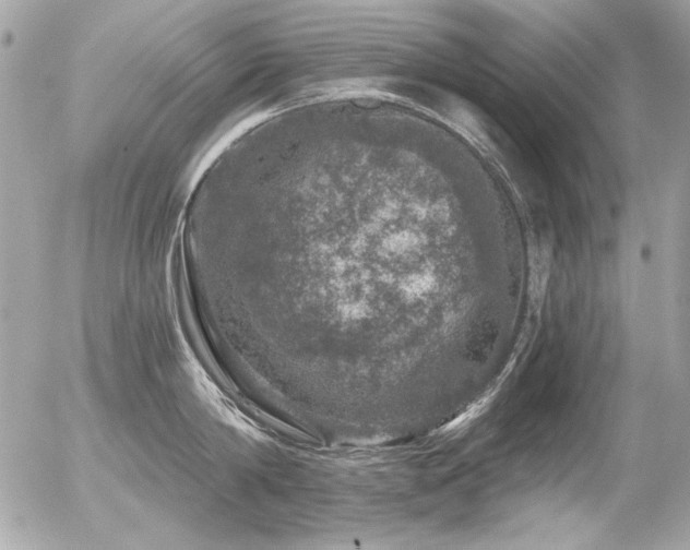 X0000056330814200508261219