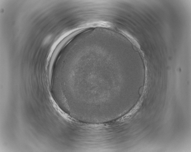 X0000056330816200508261219