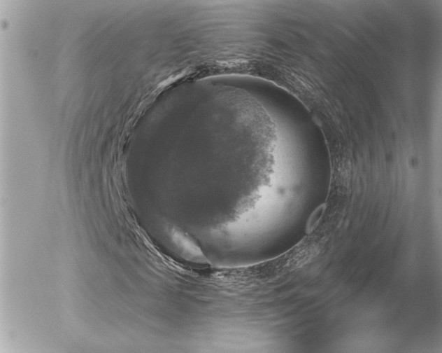 X0000056330817200508261218