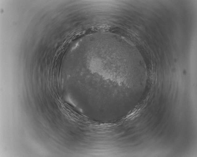 X0000056330818200508261218