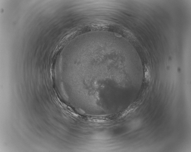 X0000056330819200508261218