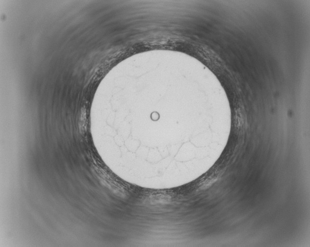 X0000056330820200508261218