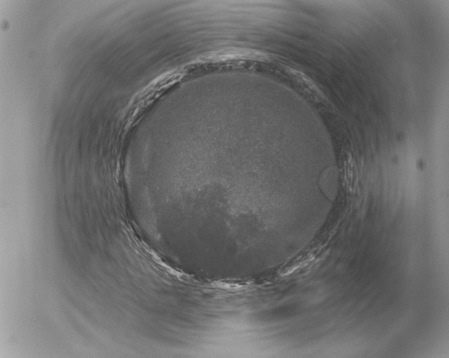 X0000056330821200508261218