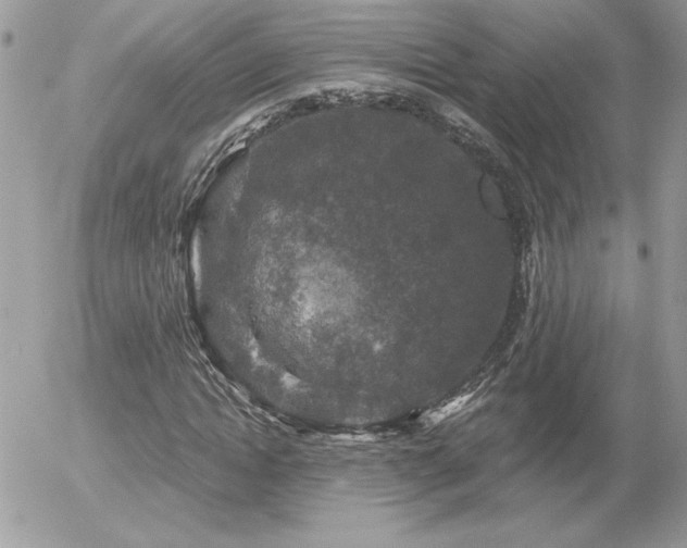 X0000056330822200508261218