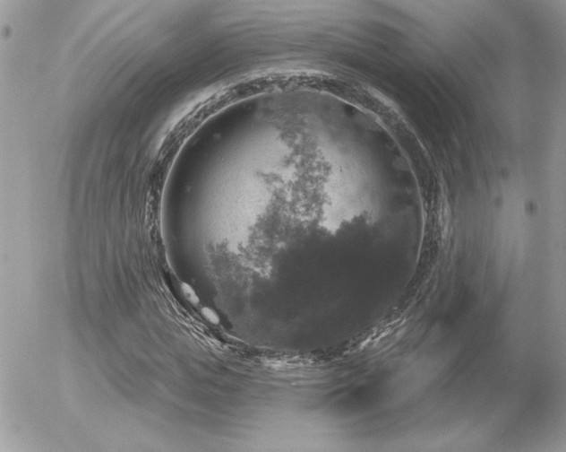 X0000056330823200508261218