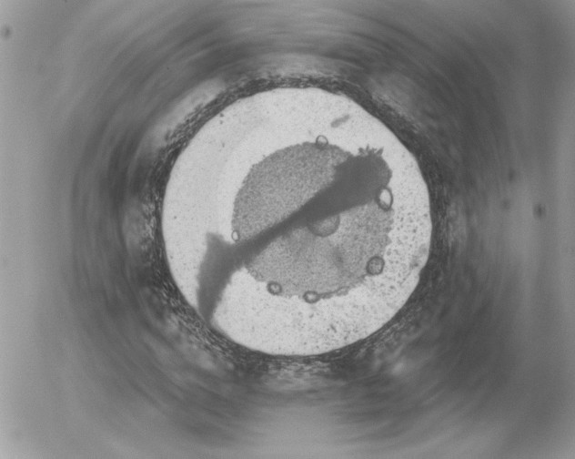 X0000056330824200508261218