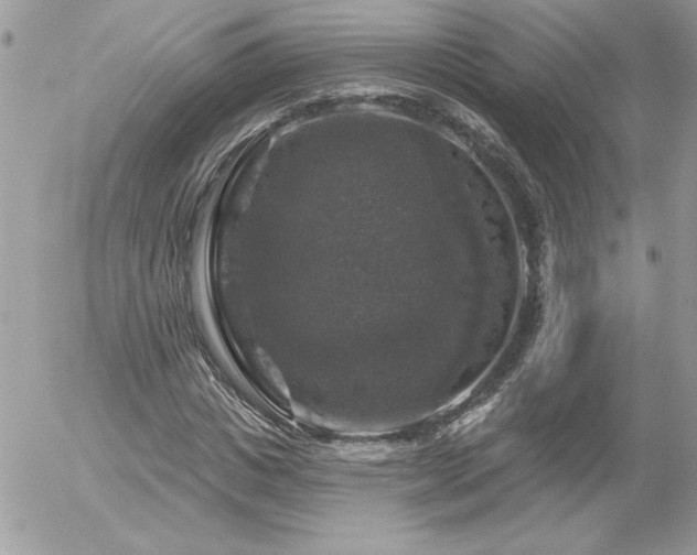 X0000056330825200508261218