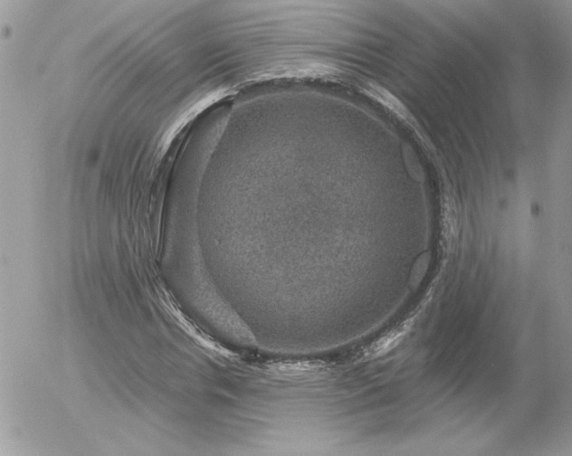 X0000056330826200508261218