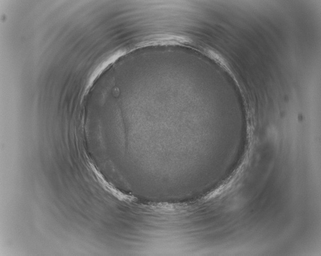 X0000056330827200508261218