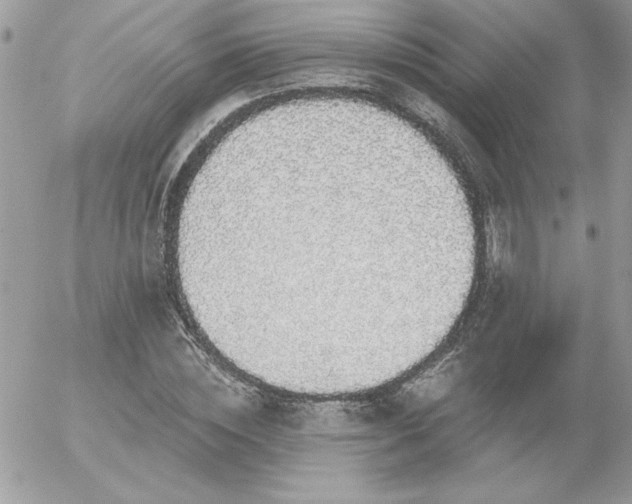 X0000056330828200508261218