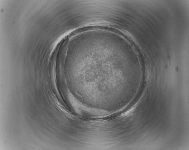 X0000056330830200508261218