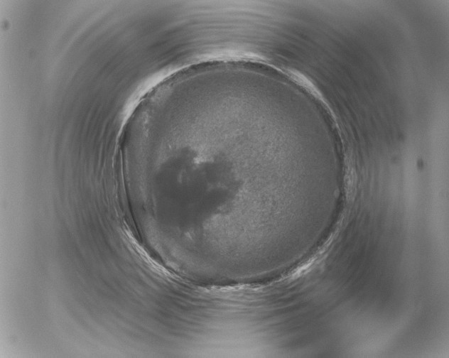 X0000056330831200508261218