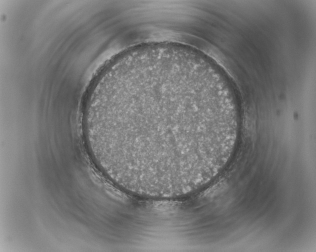 X0000056330832200508261218