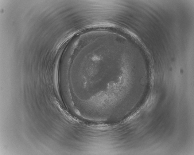 X0000056330833200508261218