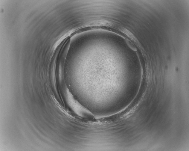 X0000056330834200508261218