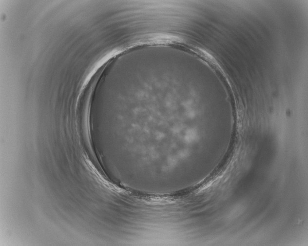 X0000056330835200508261218