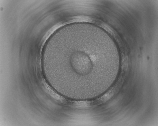 X0000056330836200508261218