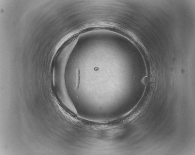 X0000056330837200508261218