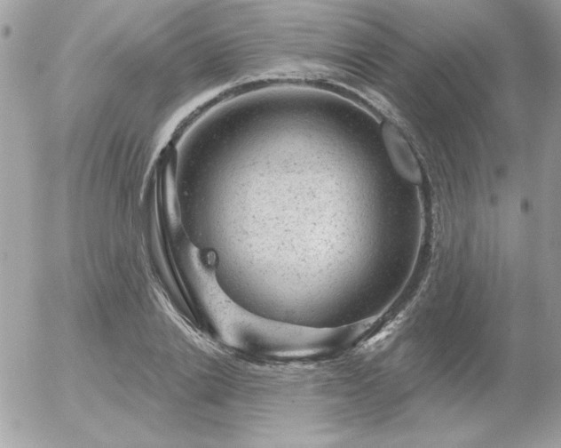 X0000056330838200508261218