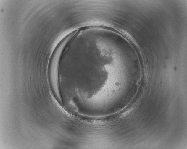 X0000056330839200508261218