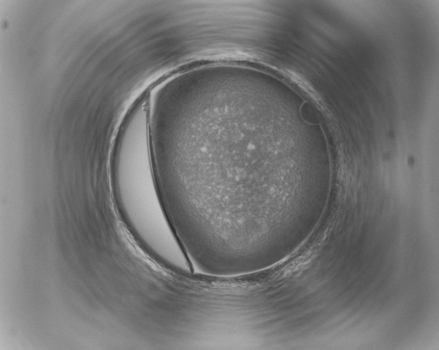 X0000056330840200508261218