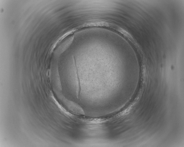 X0000056330841200508261218