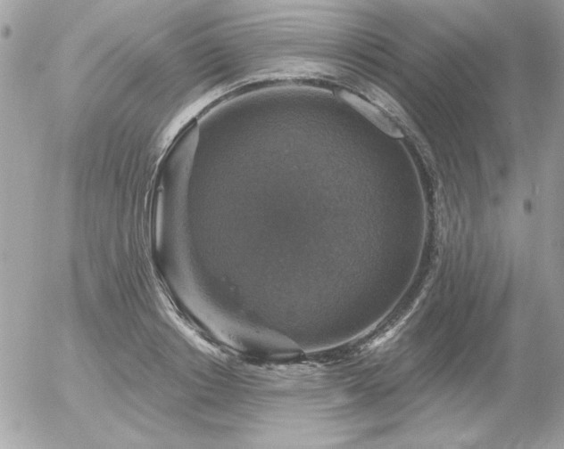 X0000056330842200508261218