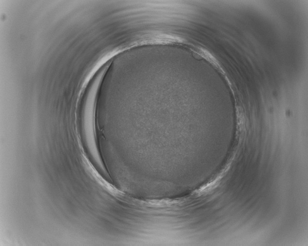 X0000056330843200508261218