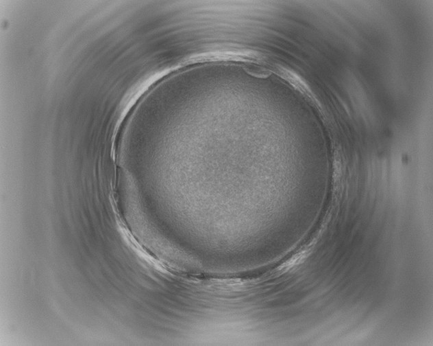 X0000056330844200508261218