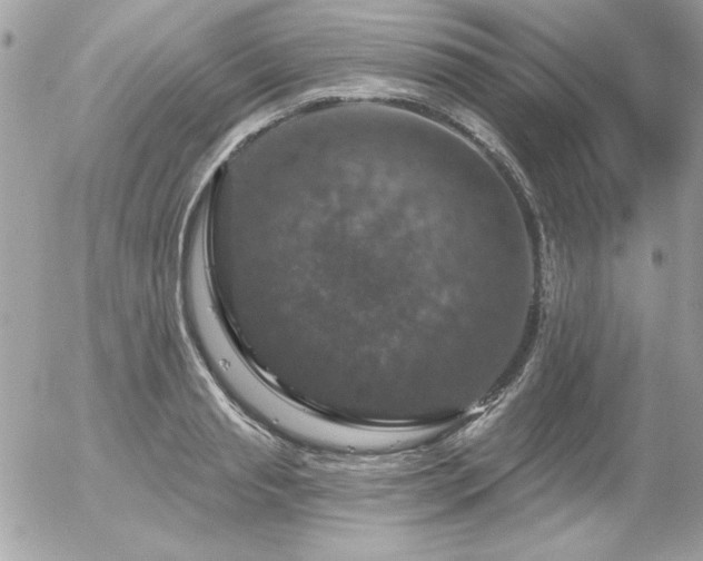 X0000056330845200508261218