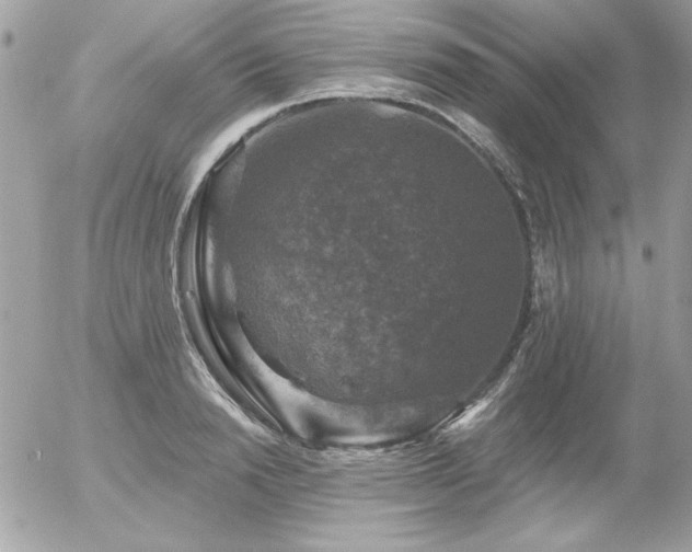 X0000056330846200508261218