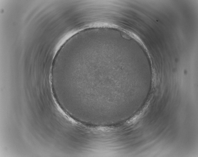 X0000056330847200508261218